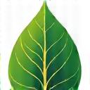 Icona a forma di foglia verde lussureggiante e un ramo, simbolo di sostenibilità e natura