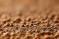 Close-up di legno con certificazione FSC